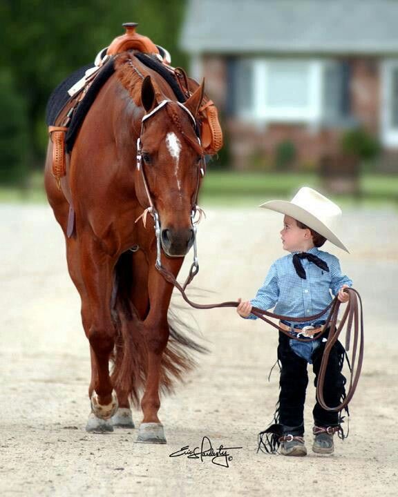 Cowboy Horse